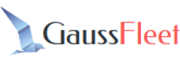 Gaus Fleet